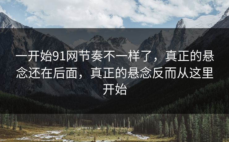 一开始91网节奏不一样了，真正的悬念还在后面，真正的悬念反而从这里开始