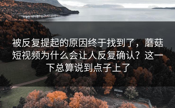 被反复提起的原因终于找到了，蘑菇短视频为什么会让人反复确认？这一下总算说到点子上了