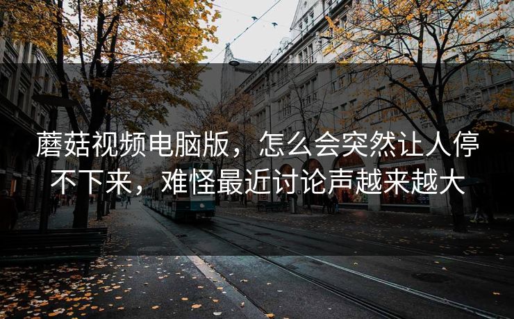 蘑菇视频电脑版，怎么会突然让人停不下来，难怪最近讨论声越来越大