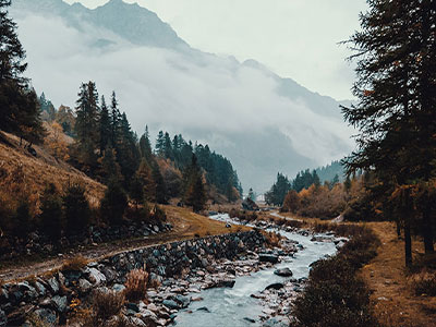 一直被讨论的｜蘑菇影视官网真的有那么多人在用吗，一直没人讲透的地方究竟在哪