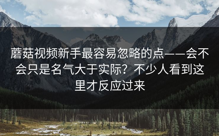 蘑菇视频新手最容易忽略的点——会不会只是名气大于实际？不少人看到这里才反应过来