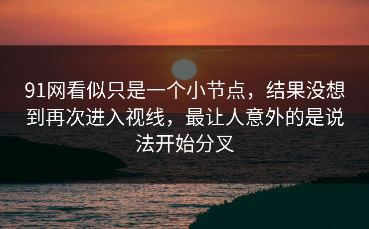 91网看似只是一个小节点，结果没想到再次进入视线，最让人意外的是说法开始分叉