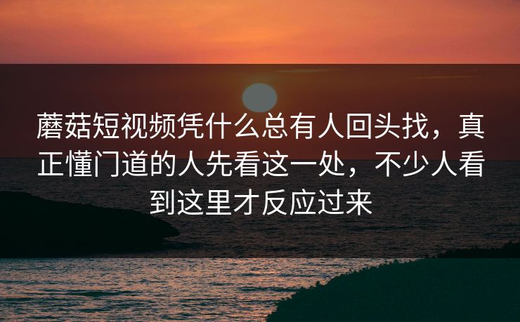 蘑菇短视频凭什么总有人回头找，真正懂门道的人先看这一处，不少人看到这里才反应过来