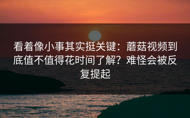 看着像小事其实挺关键：蘑菇视频到底值不值得花时间了解？难怪会被反复提起