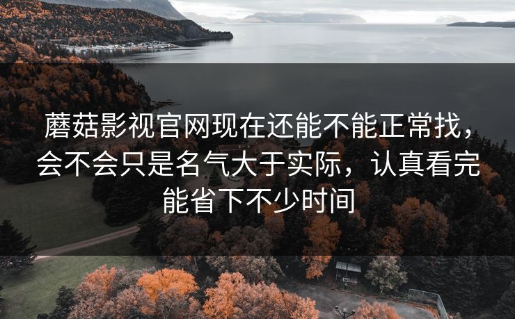 蘑菇影视官网现在还能不能正常找，会不会只是名气大于实际，认真看完能省下不少时间
