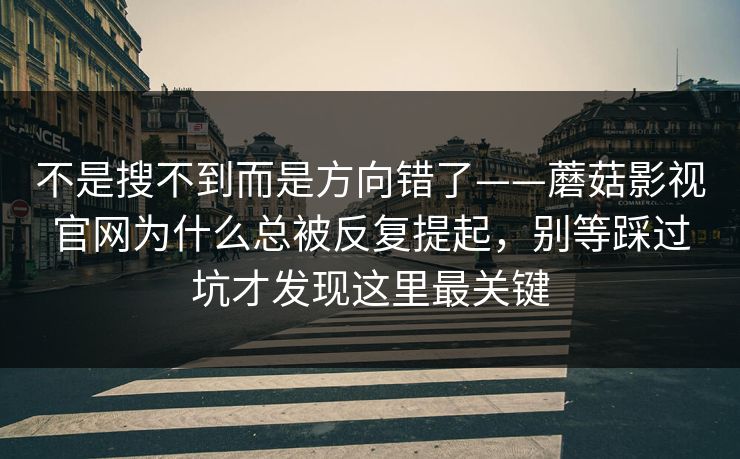 不是搜不到而是方向错了——蘑菇影视官网为什么总被反复提起，别等踩过坑才发现这里最关键  第1张