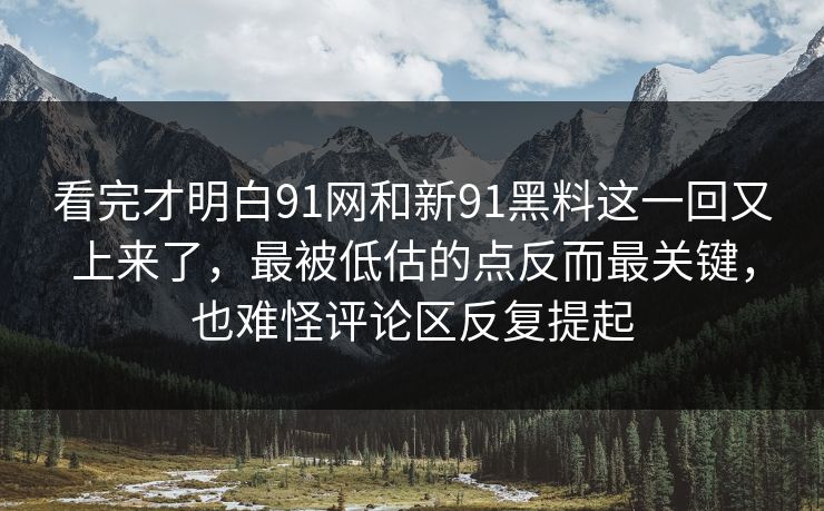看完才明白91网和新91黑料这一回又上来了，最被低估的点反而最关键，也难怪评论区反复提起