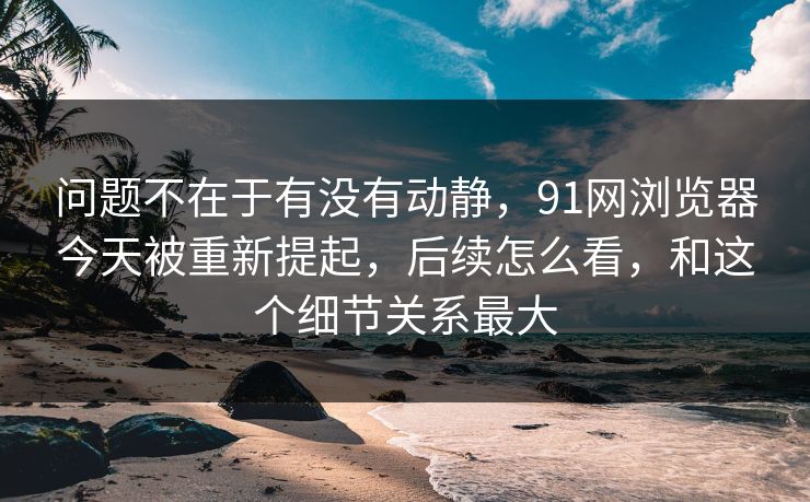 问题不在于有没有动静，91网浏览器今天被重新提起，后续怎么看，和这个细节关系最大