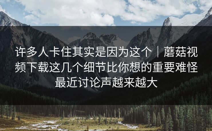 许多人卡住其实是因为这个｜蘑菇视频下载这几个细节比你想的重要难怪最近讨论声越来越大
