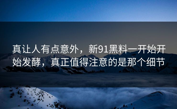 真让人有点意外，新91黑料一开始开始发酵，真正值得注意的是那个细节