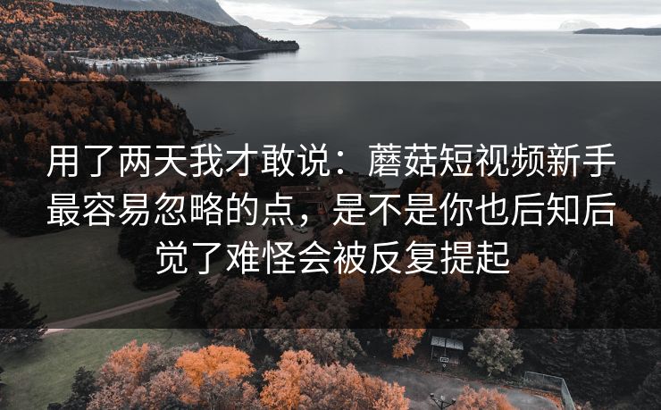 用了两天我才敢说：蘑菇短视频新手最容易忽略的点，是不是你也后知后觉了难怪会被反复提起